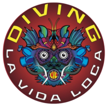 Diving La Vida Loca – Amed – Bali