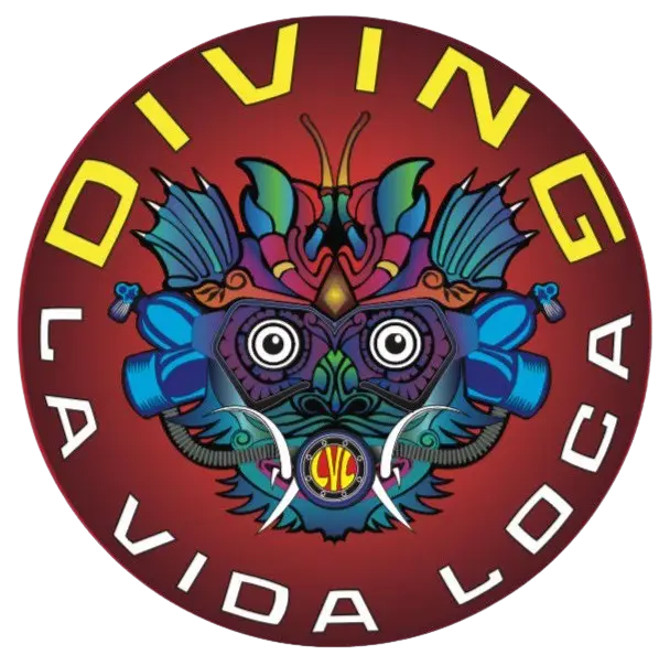 Diving La Vida Loca - Amed - Bali - Buceo Amed - Buceo Bali Logo